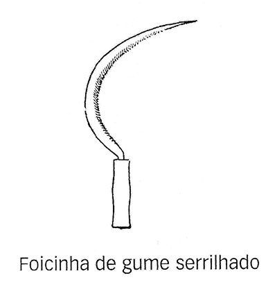 foicinha1
